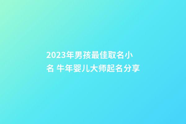 2023年男孩最佳取名小名 牛年婴儿大师起名分享